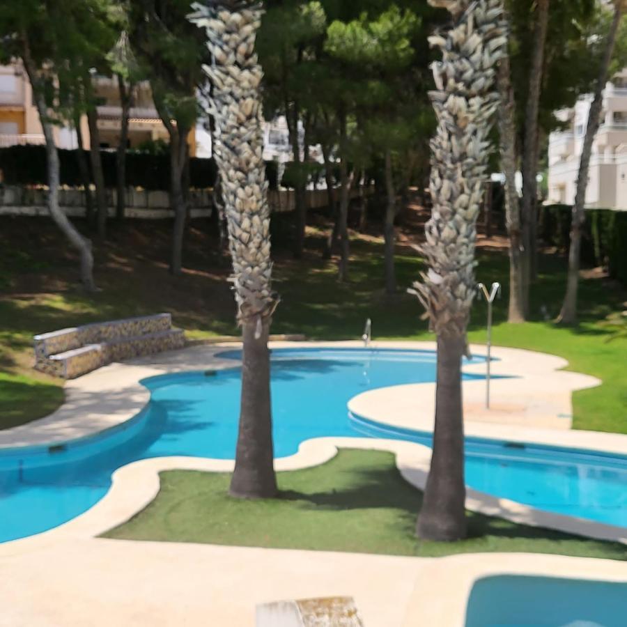 Apartamento Ines, Dehesa De Campoamor,900M From The Sea , Swimming Pool & Tennis Court Экстерьер фото