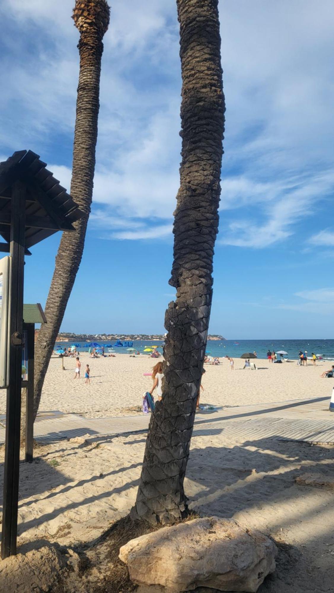 Apartamento Ines, Dehesa De Campoamor,900M From The Sea , Swimming Pool & Tennis Court Экстерьер фото